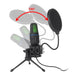 USB RGB Condenser Microphone — Wired Gaming & Streaming Mic for PC/Laptop